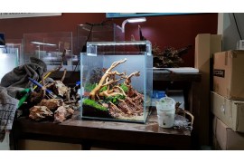 Ada Cube Garden 30-C (30x30x30cm)