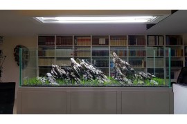 Mudança de layout de um extraordinário aquário