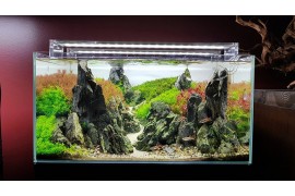 A Aquaeden marca a sua presença no Pet Festival