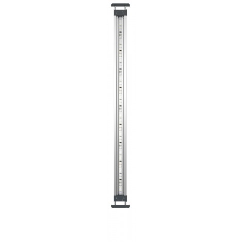 HighLine Premium LED 100
