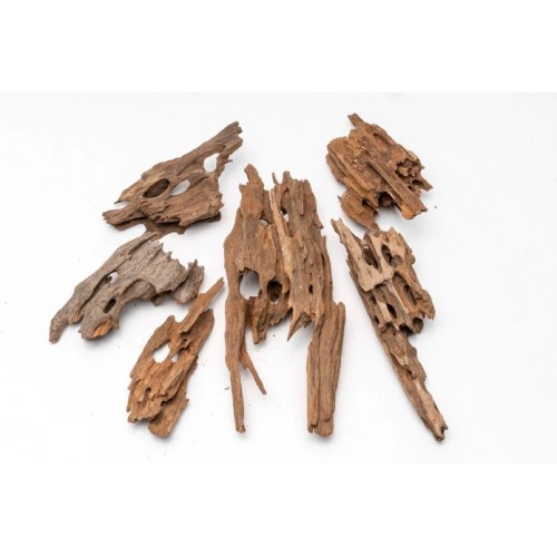 Dragon Wood M 25-35 Cm 
