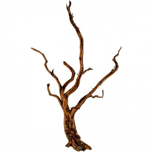 Rasamala wood 