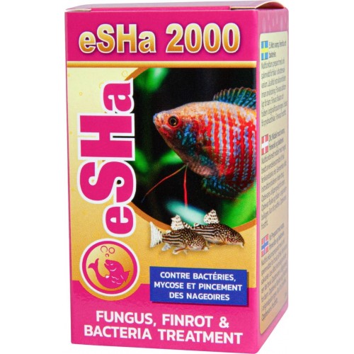 eSHa 2000