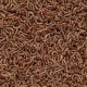 B4F BLOOD WORMS 100ML