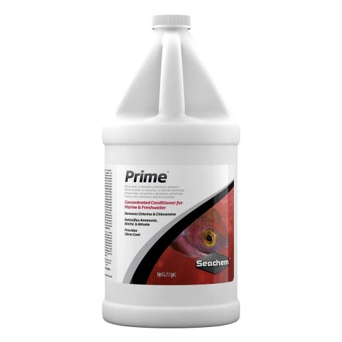 Prime (2L e 4L)
