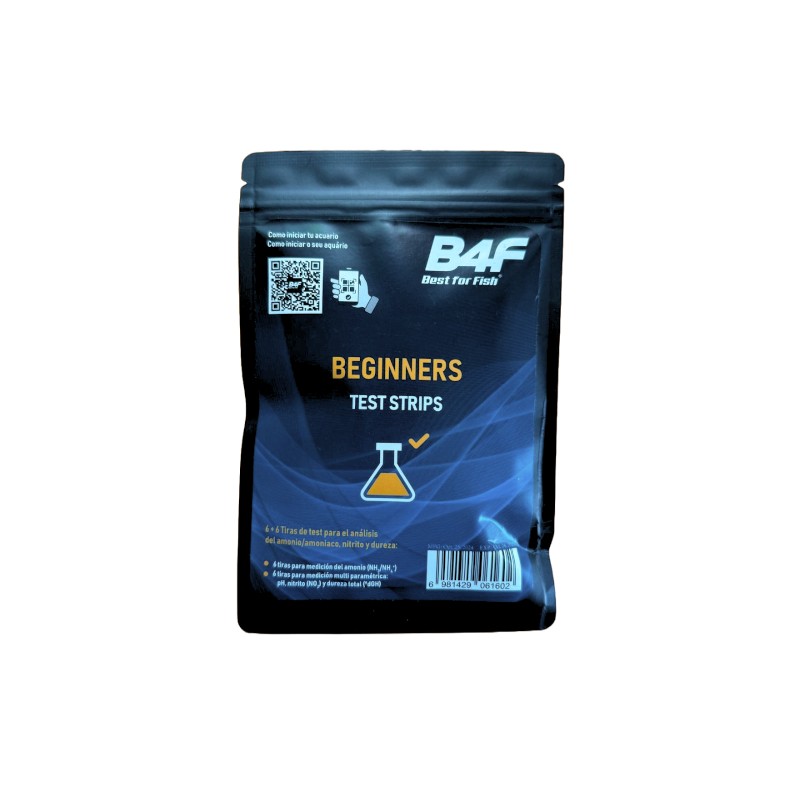 B4F TESTES DE FITA (6+6)