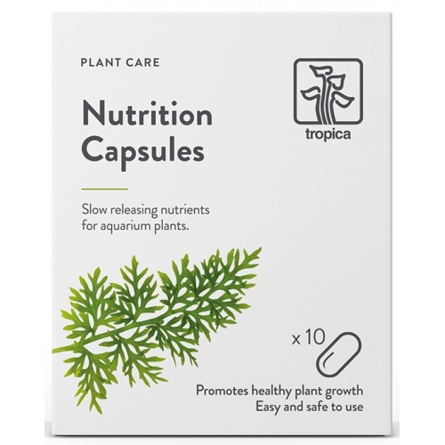 NUTRITION CAPSULES X 10