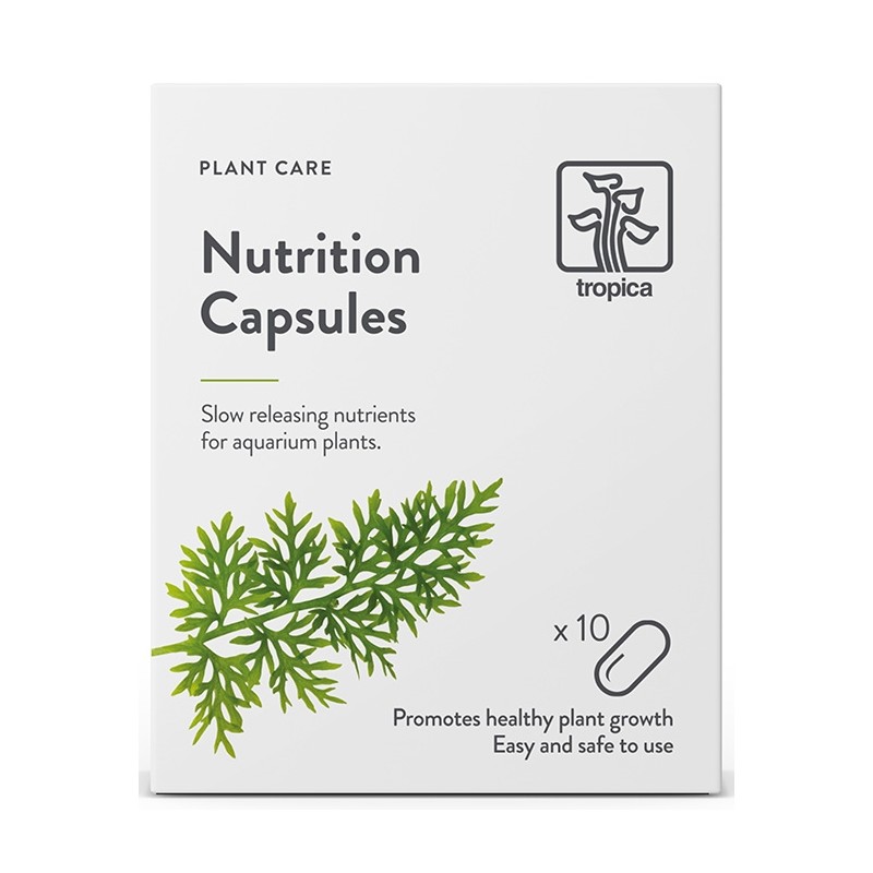 NUTRITION CAPSULES X 10