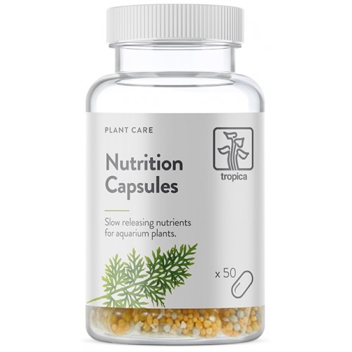 NUTRITION CAPSULES X 50
