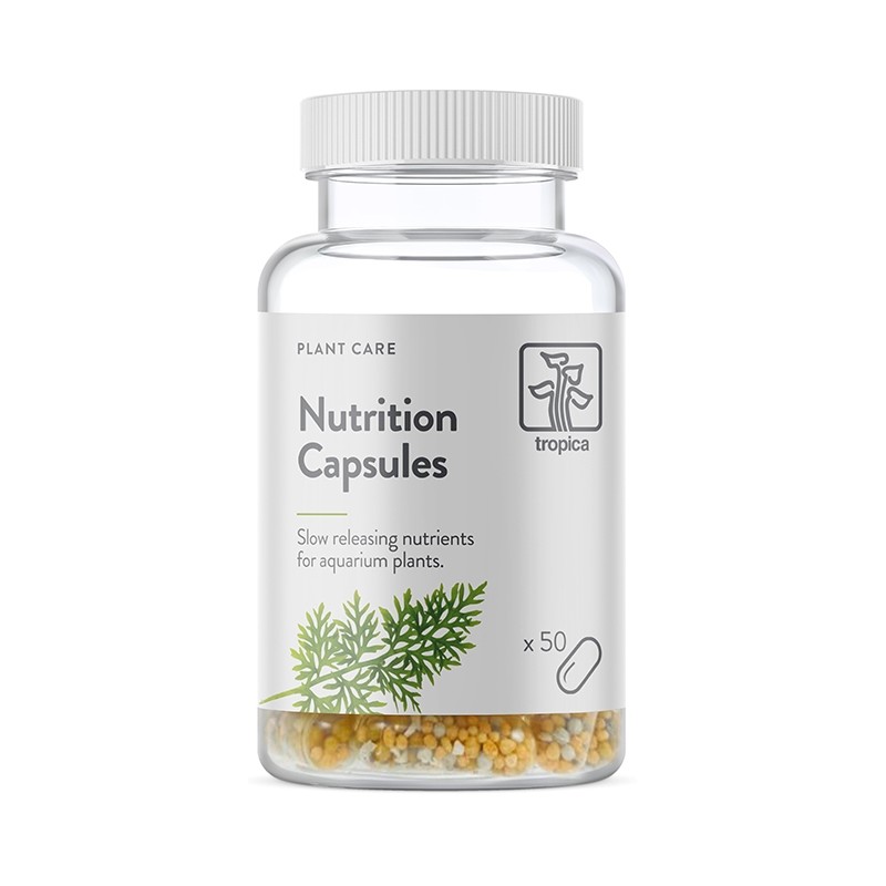 NUTRITION CAPSULES X 50