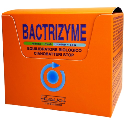 BACTRIZYME 12 AMPOLAS 