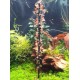 LOLLIES CAMARÕES - MIX VEGGIES12UND