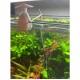 LOLLIES HOLDER - O PESCADOR
