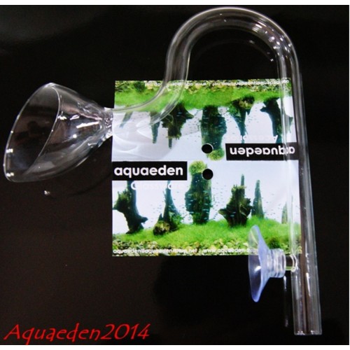 Lily Pipe Aquaeden out