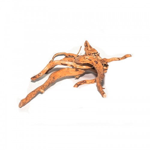Red moor branch 10-20 cm