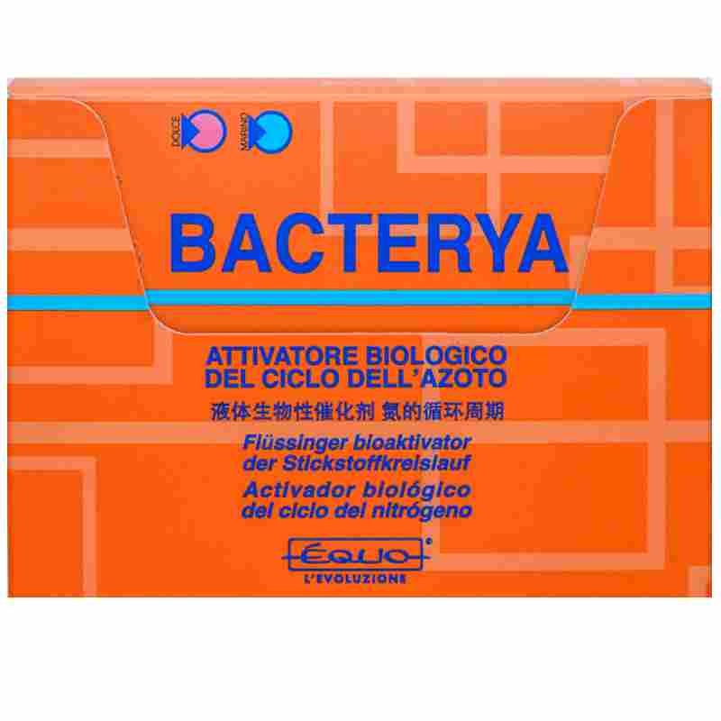 Bacterya