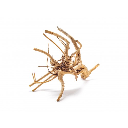 Spider Wood L