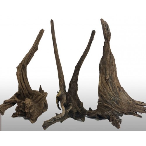 Hornwood branch 40-60cm
