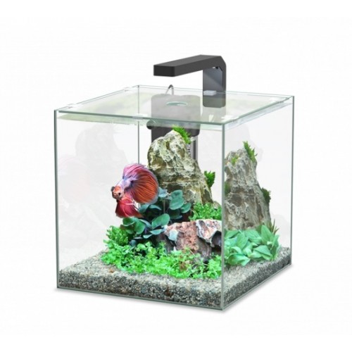 KUBUS BETTA 15L