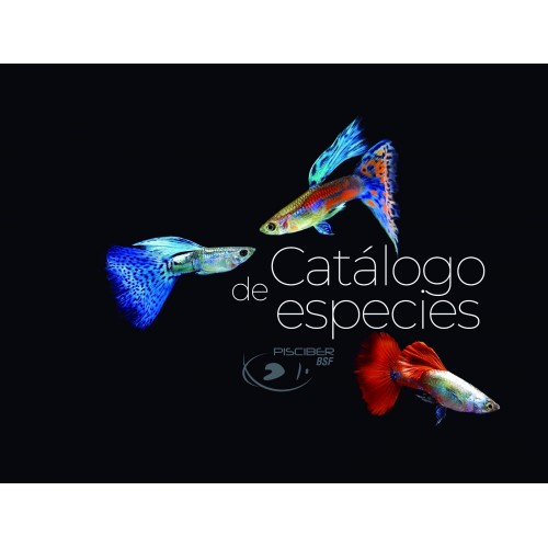 CATÁLOGO ESPÉCIES DE PEIXES