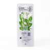 HYGROPHILA SIAMENSIS 53B