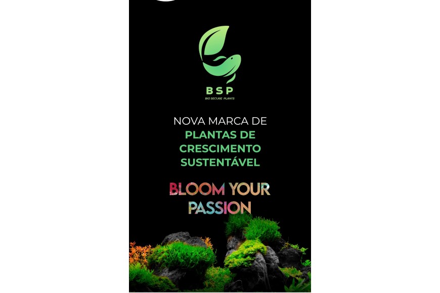 Plantas BSP - Nova Marca!